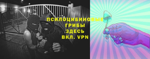 крисы Белоозёрский