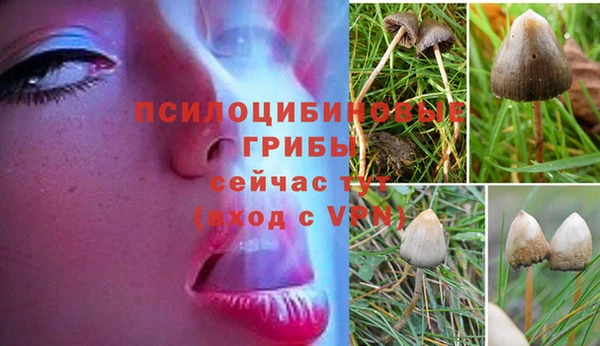 не бодяженный Белокуриха