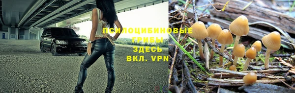 не бодяженный Белокуриха