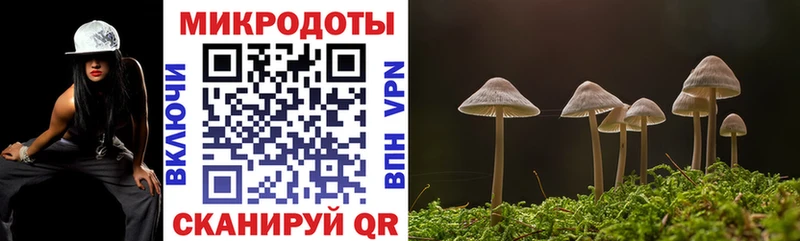 Купить где  Губкинский  Галлюциногенные грибы ЛСД 